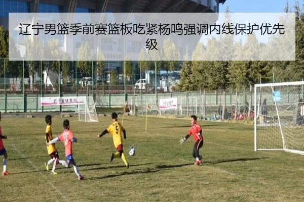 辽宁男篮季前赛篮板吃紧杨鸣强调内线保护优先级